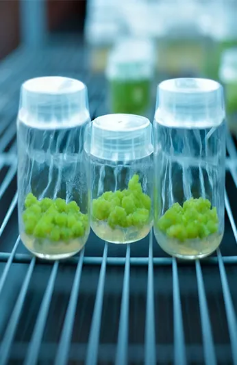 Ruang uji lingkungan untuk biologi