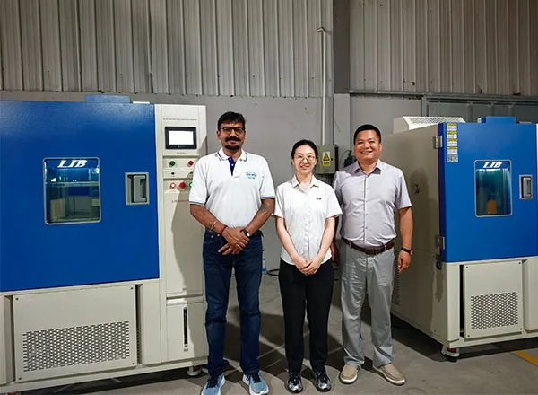 Ruang Uji Gas Beracun: Panduan Lengkap & Mengapa Klien India Memilih Layanan Inspeksi dan Pelatihan dari LIB Industry